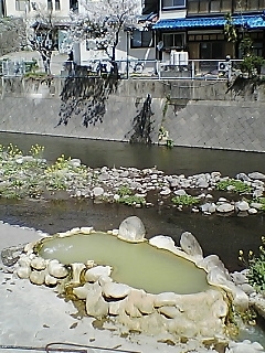 川の中の露天風呂「ガニ湯」。菜の花と桜がきれいでした.jpg